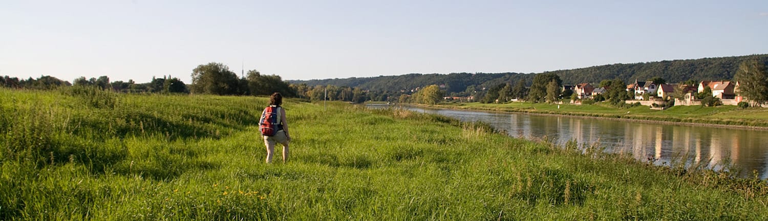 Elbaue-header