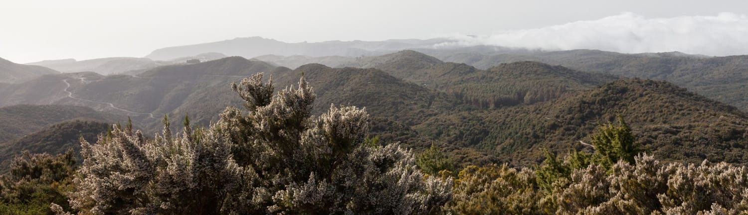garajonayblick-header.jpg