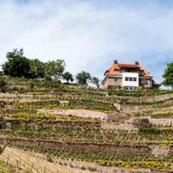 Wandern mit Wein